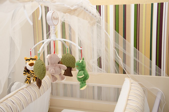 Alles wat je moet weten over baby's: van voeding tot inrichting en verzorging